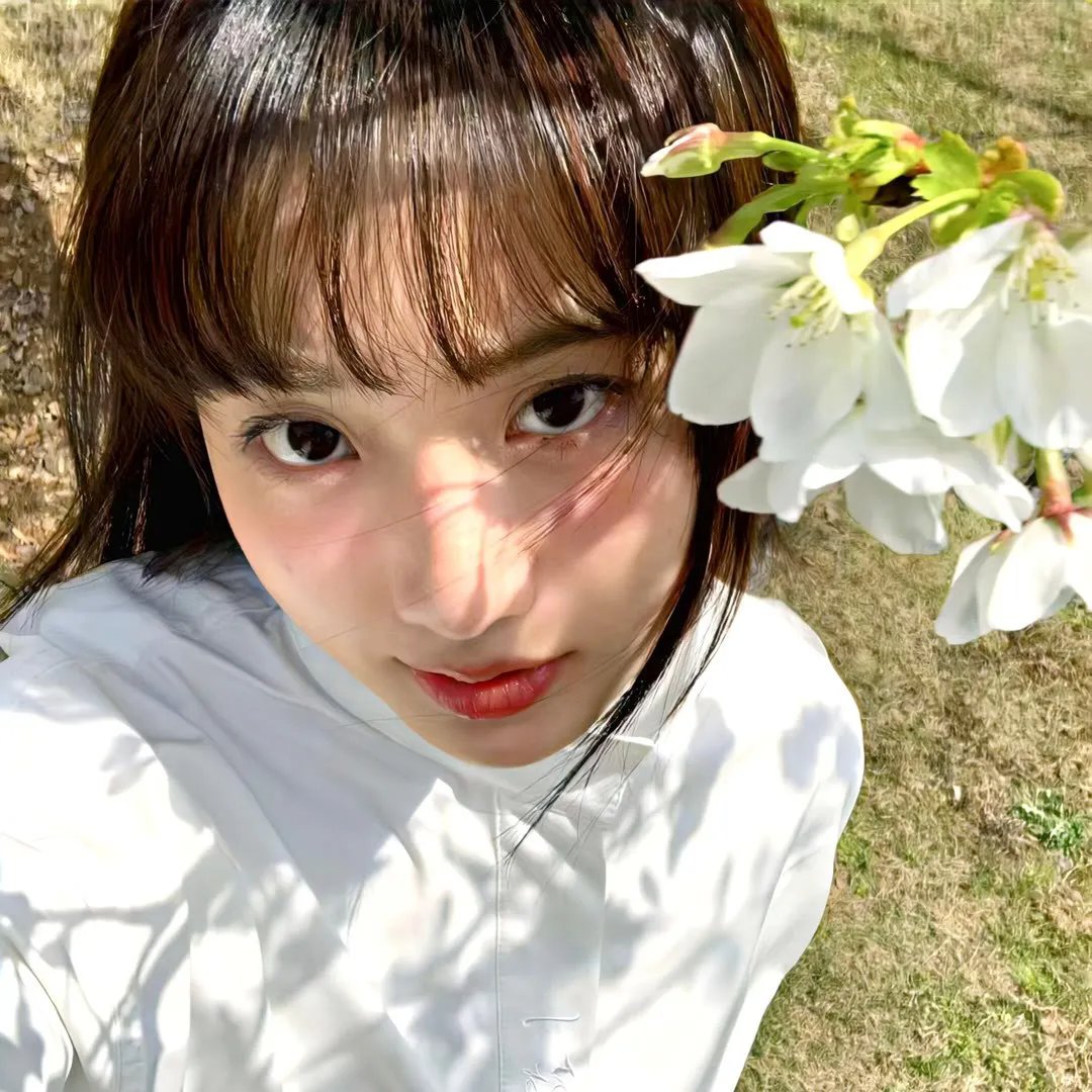 妙妙龙